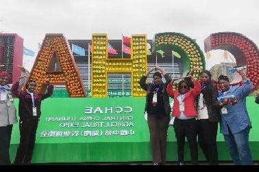 冈比亚第一夫人办公室成员在湘参加2019中部博览会：这里应有尽有！